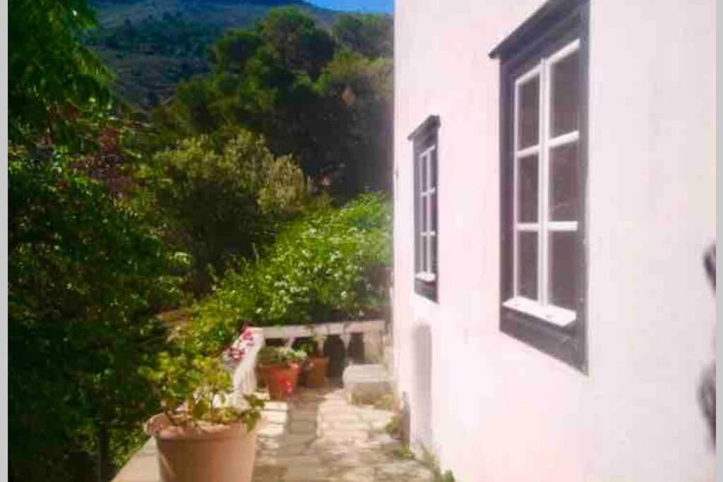 Photo of Others in Vlikhos