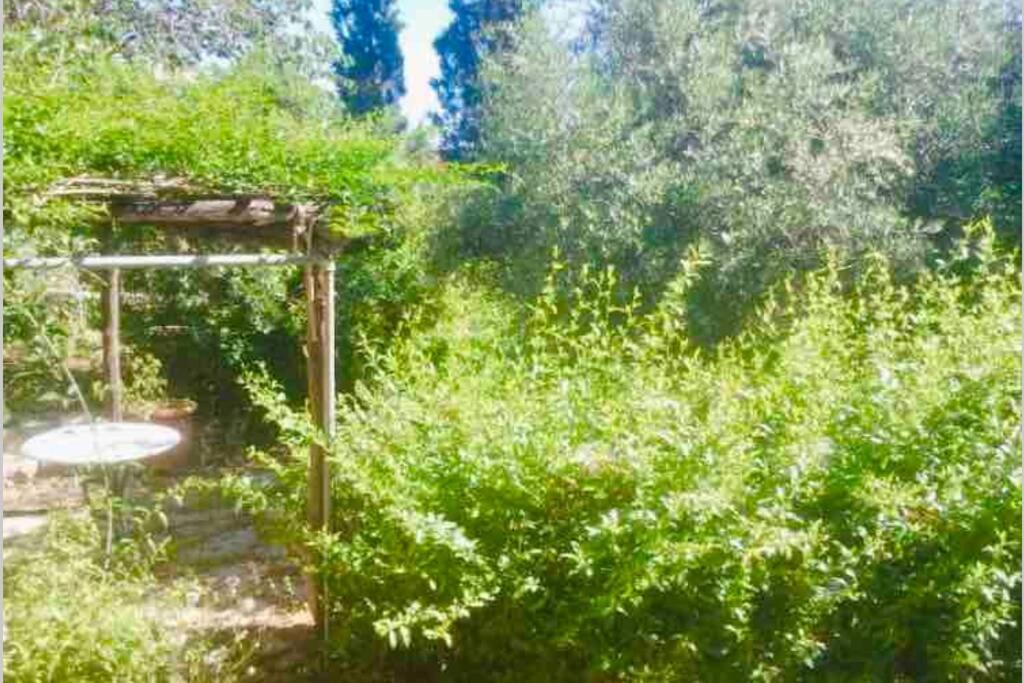Photo of Outdoor in Vlikhos