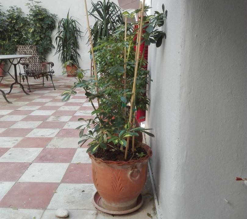 Photo of Others in Exarhia