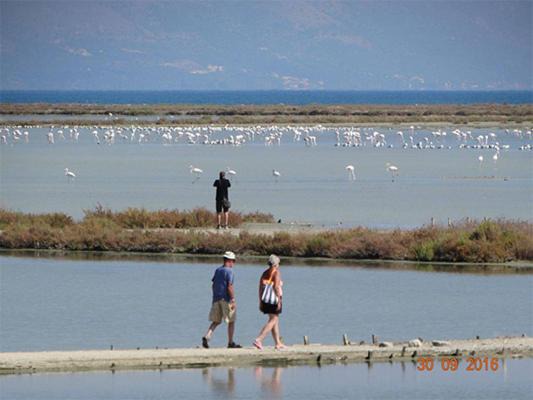 Photo of Others in Melikia