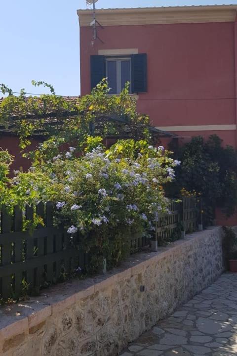 Photo of Buildings in Afionas