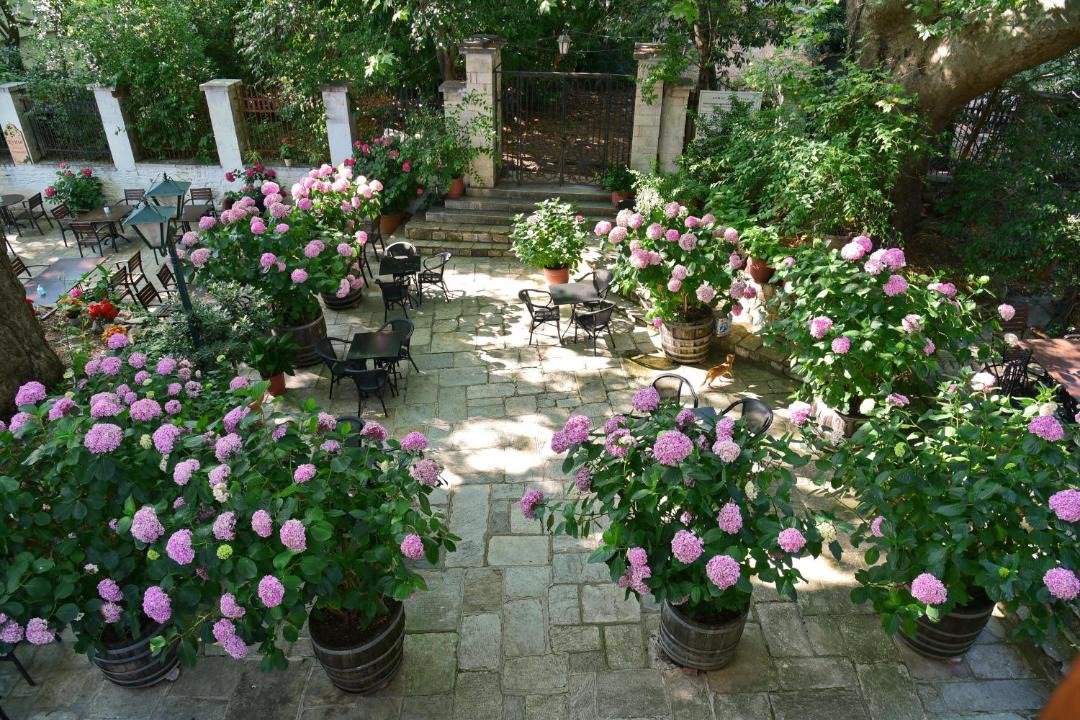 Photo of Others in Portaria