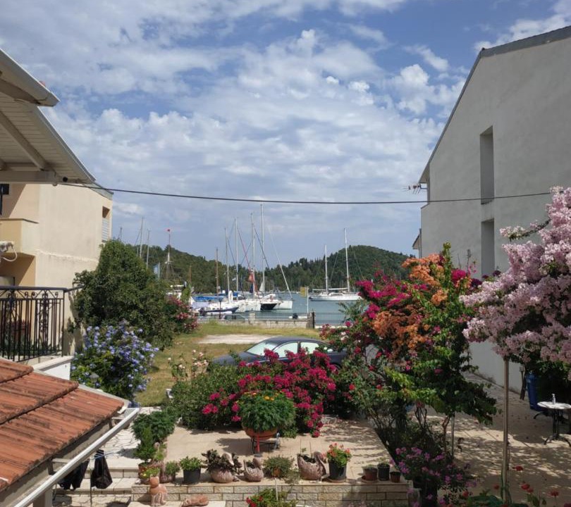 Photo of Others in Yenion