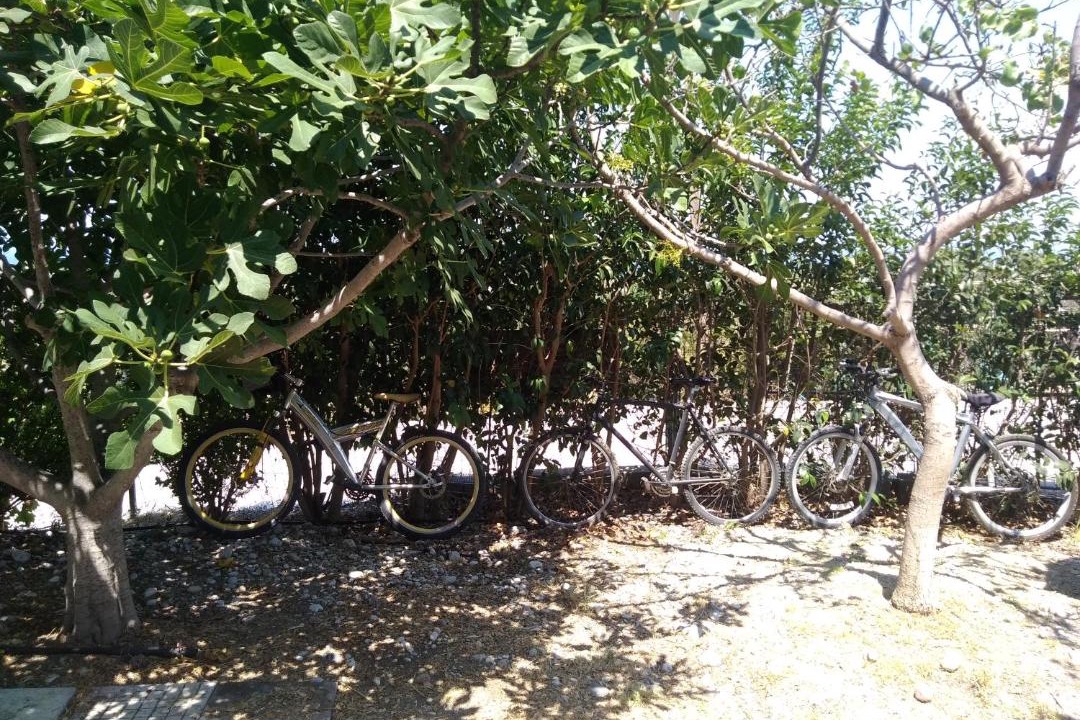 Photo of Others in Kamiros