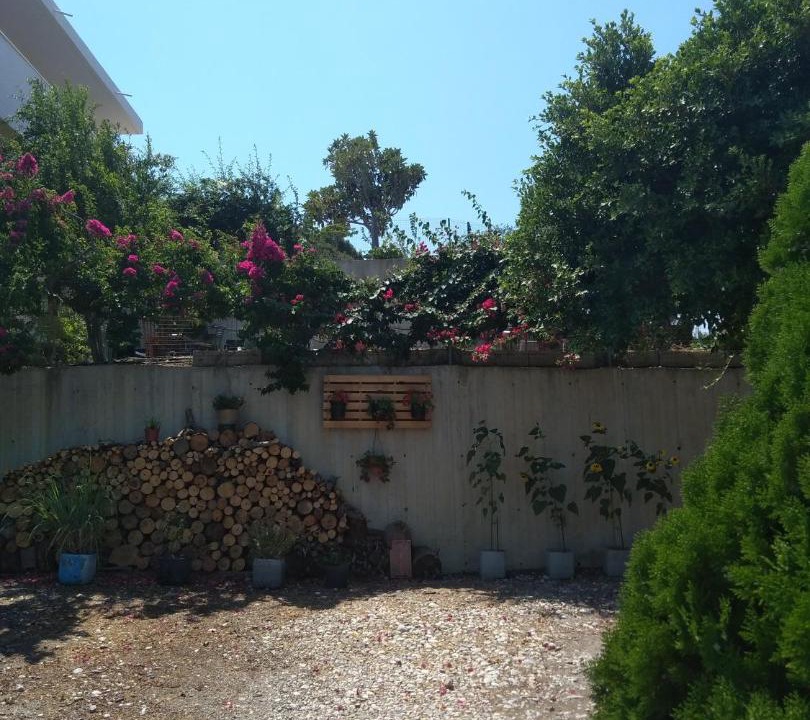 Photo of Buildings in Kamiros