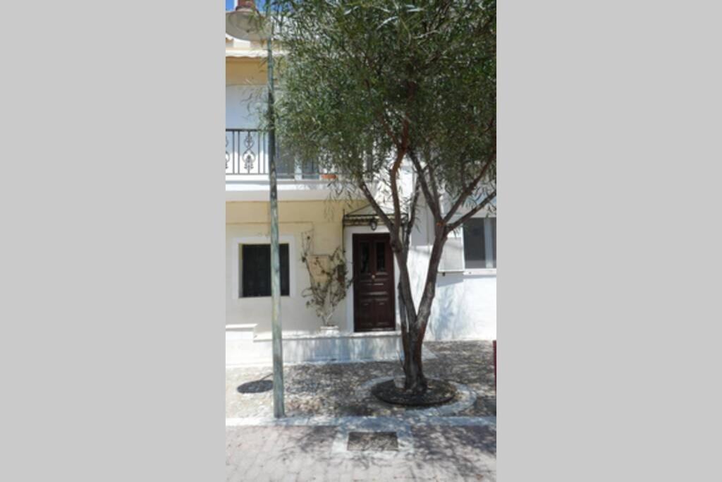 Photo of Buildings in Ermoupoli