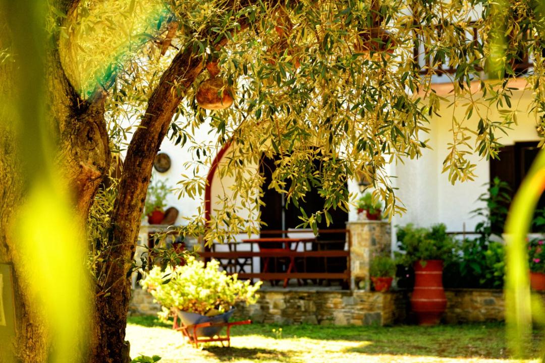 Photo of Others in Skopelos