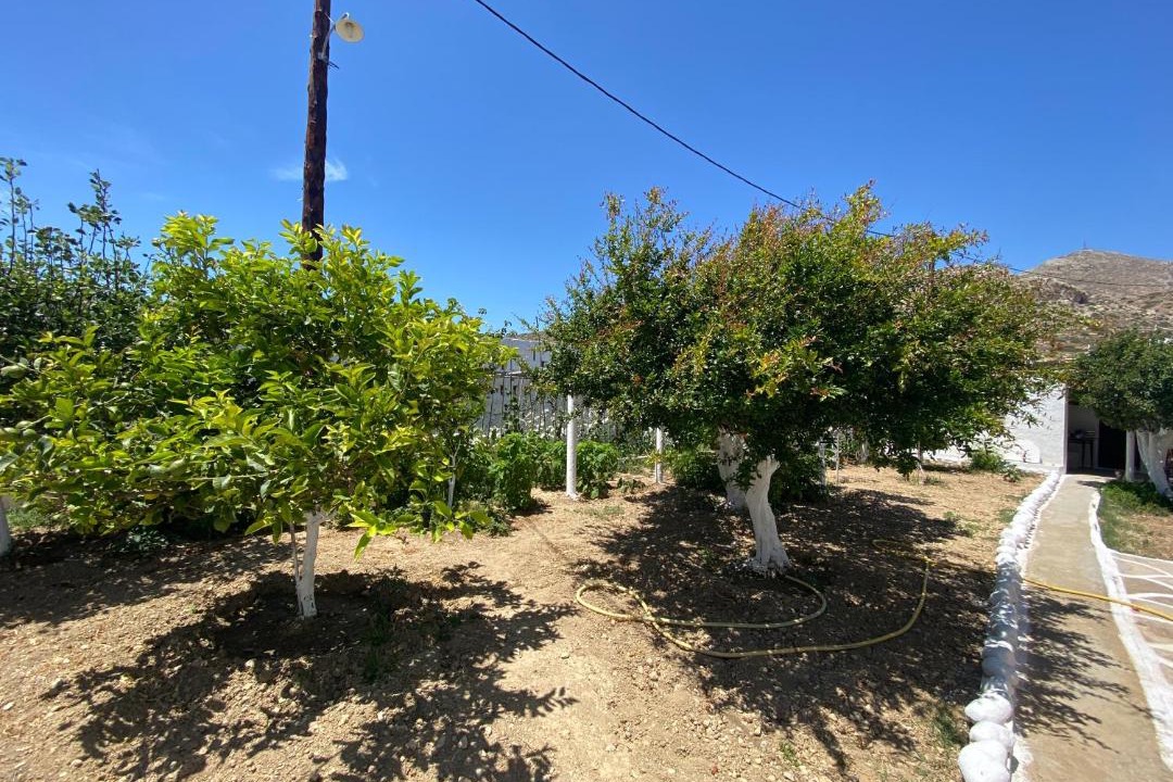 Photo of Outdoor in Karpathos