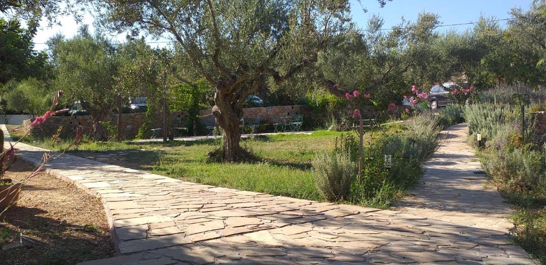 Photo of Outdoor in Skoutari