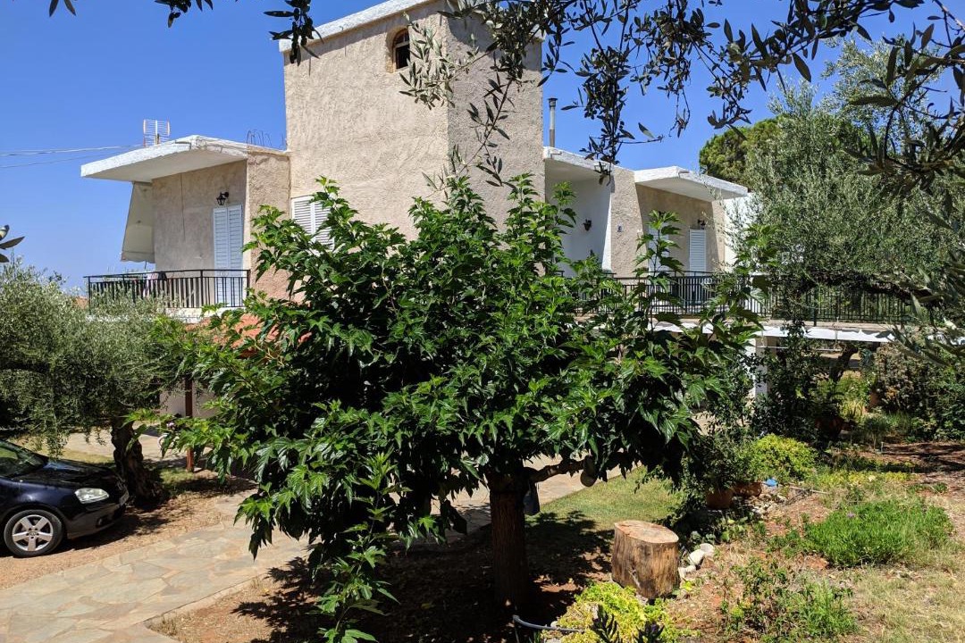 Photo of Buildings in Lefktron