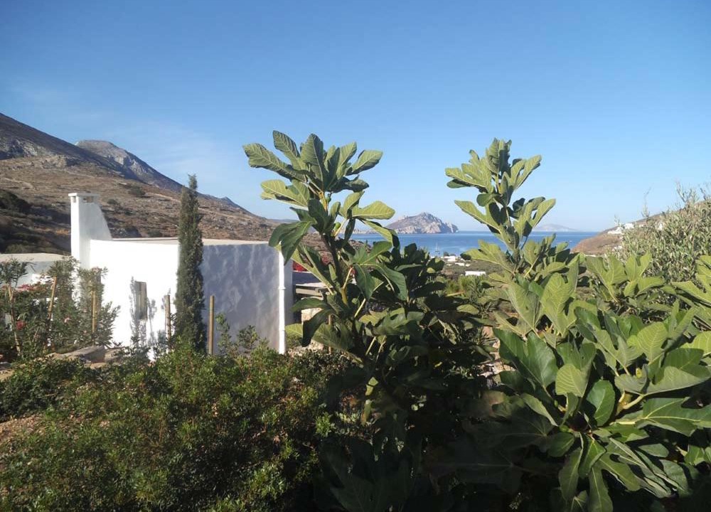 Photo of Others in Aegiali