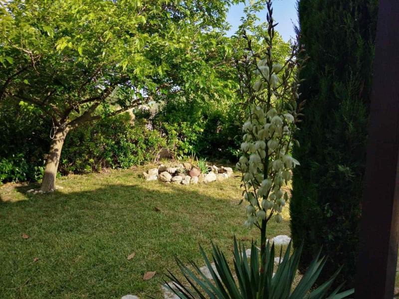 Photo of Others in Nea Propontida