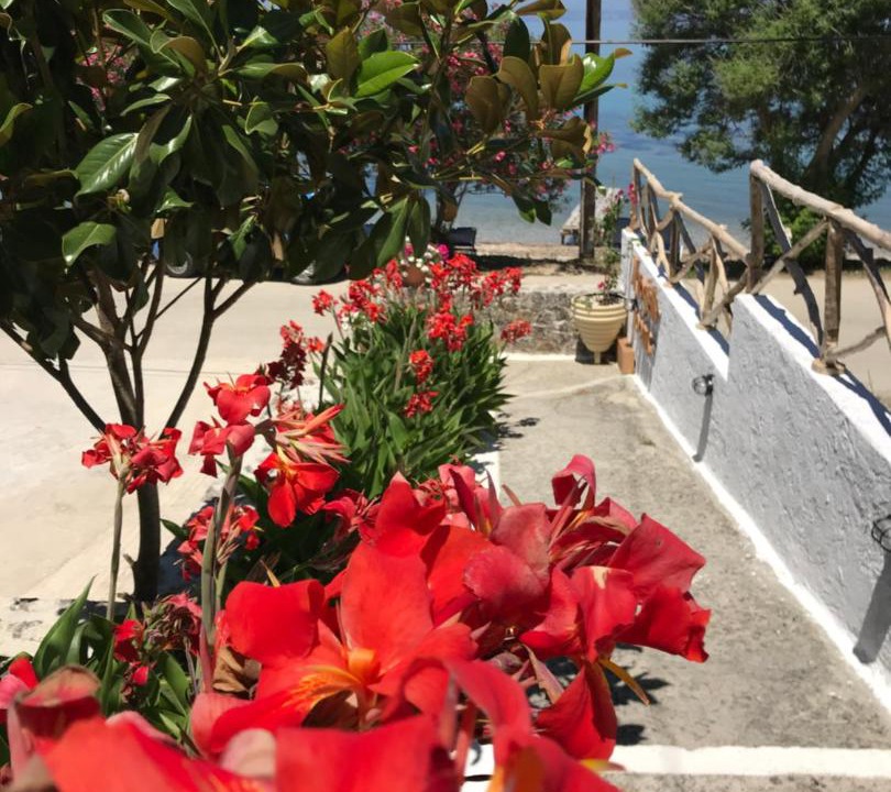 Photo of Patio Balcony in Boukari