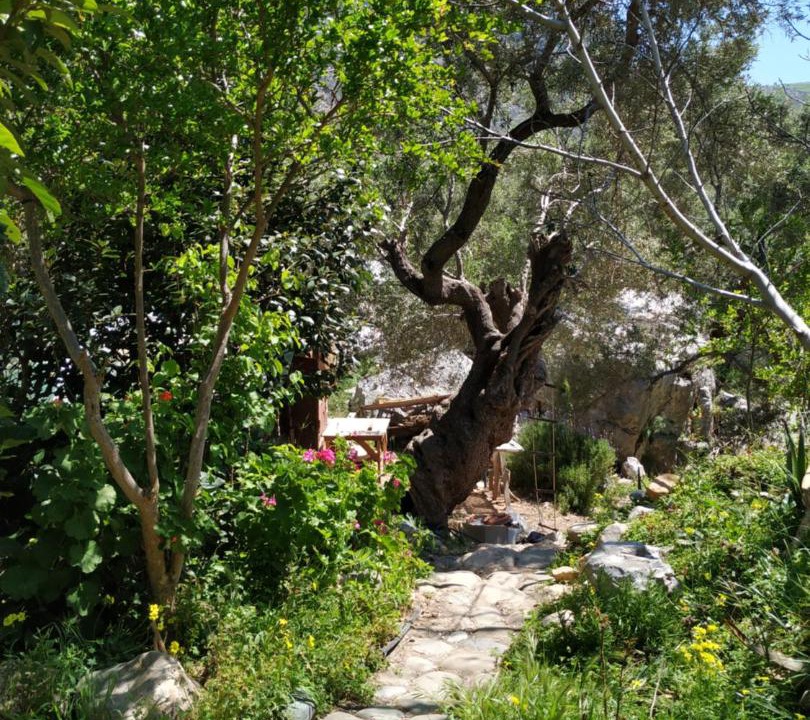Photo of Others in Agios Vasileios