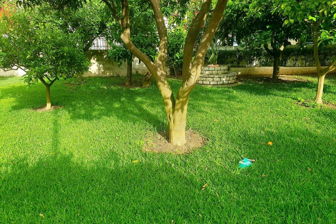 Photo of Outdoor in Nidri
