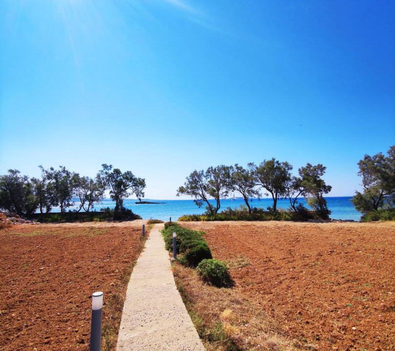 Photo of Others in Antiparos