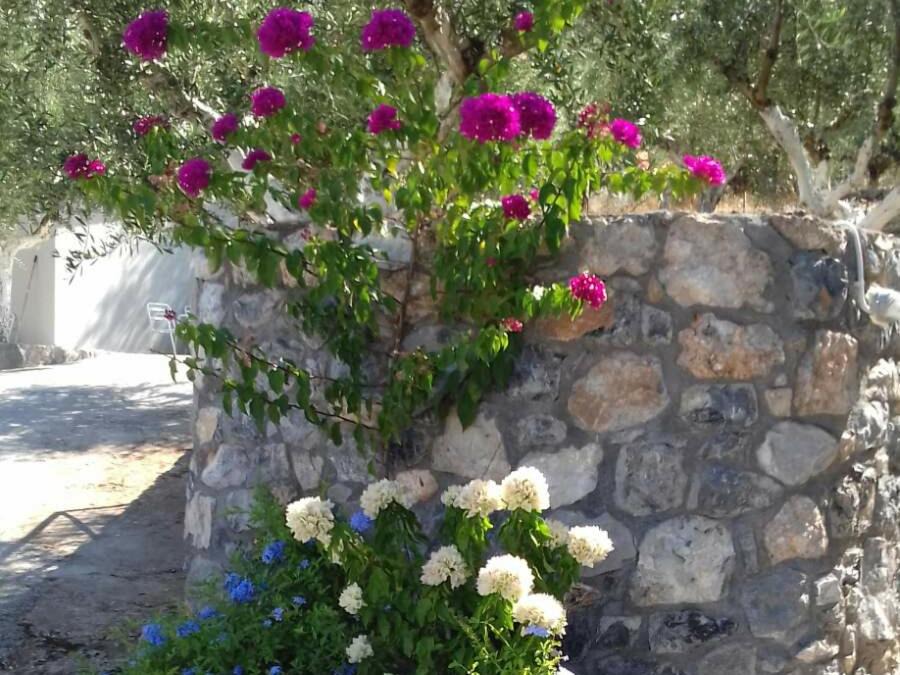 Photo of Others in Paralia Vergas