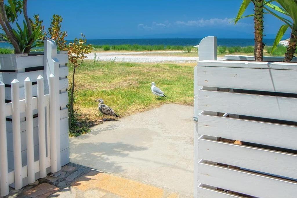 Photo of Others in Skala Rachoniou