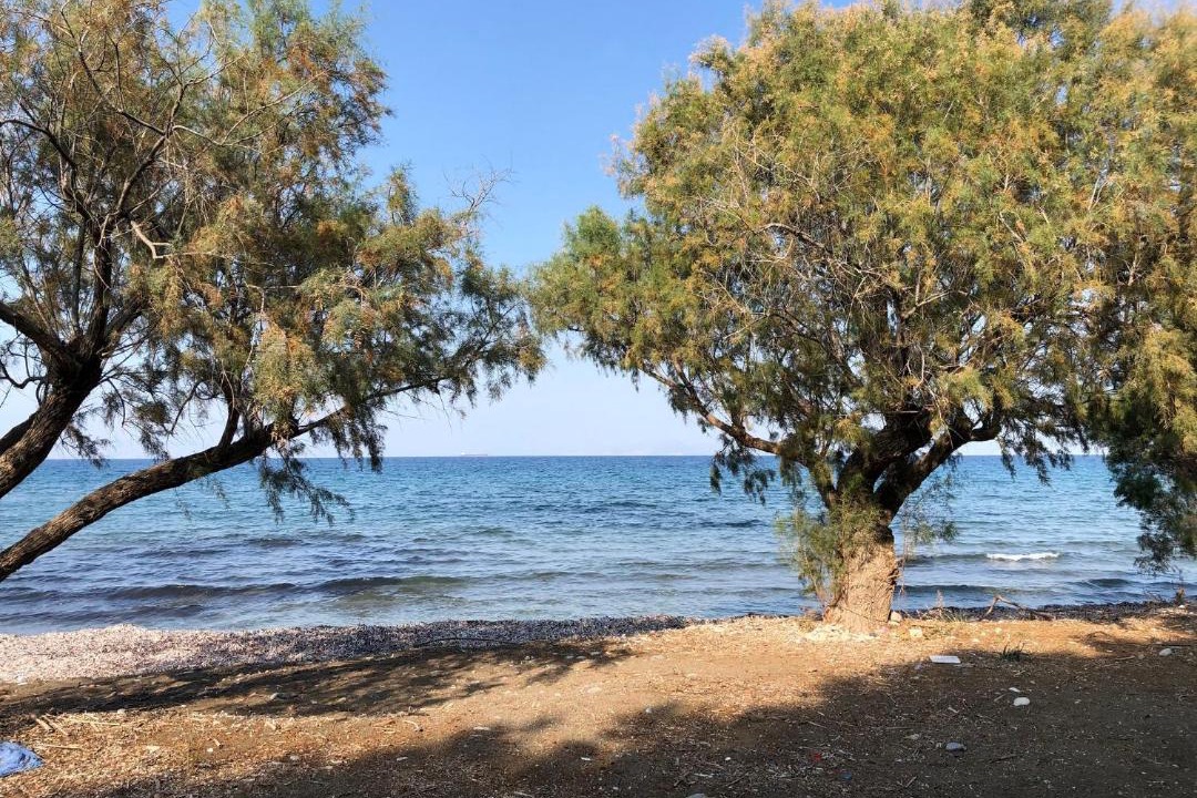 Photo of Outdoor in Kalavarda