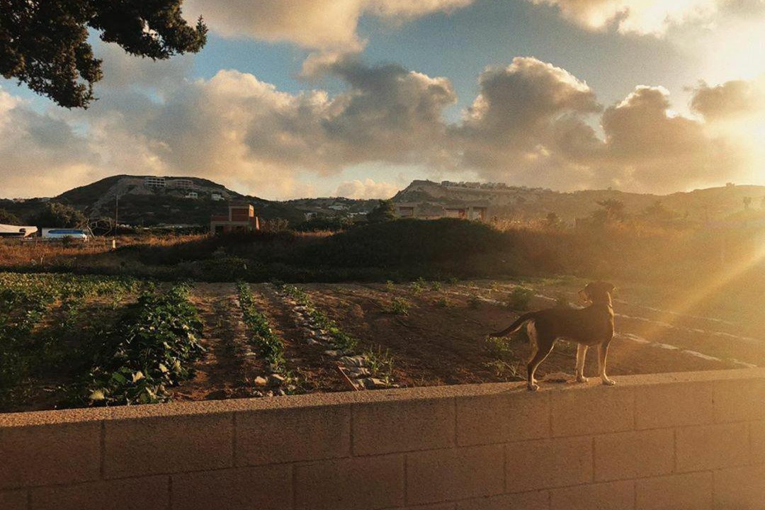 Photo of Others in Kefalos