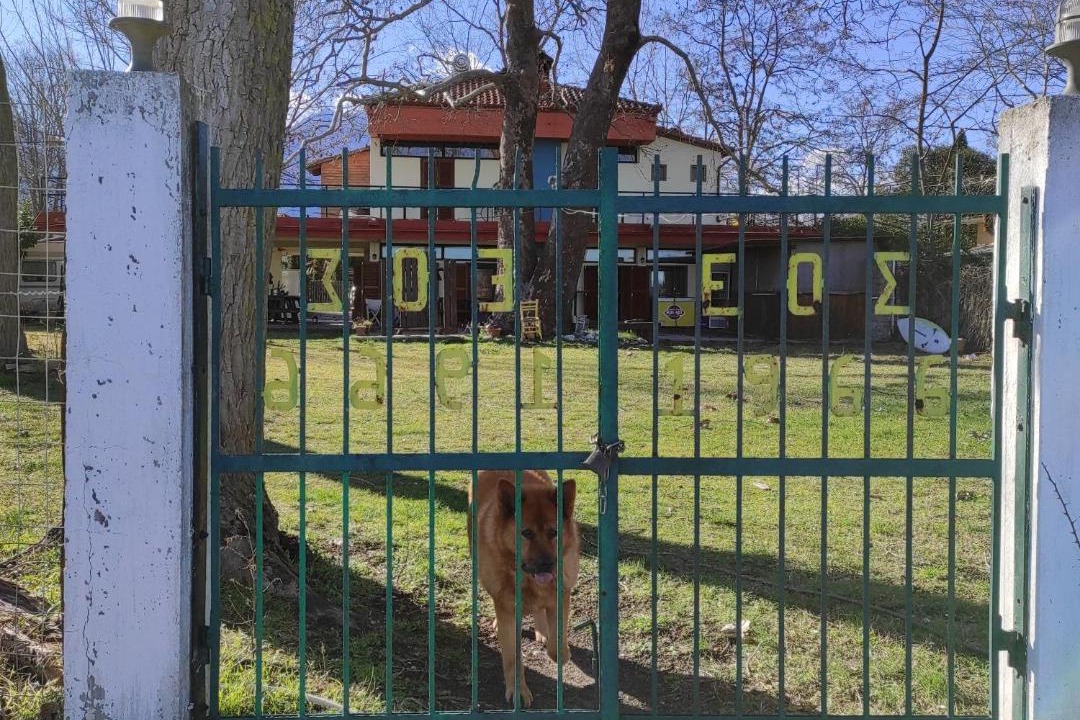 Photo of Buildings in Limin Litochorou