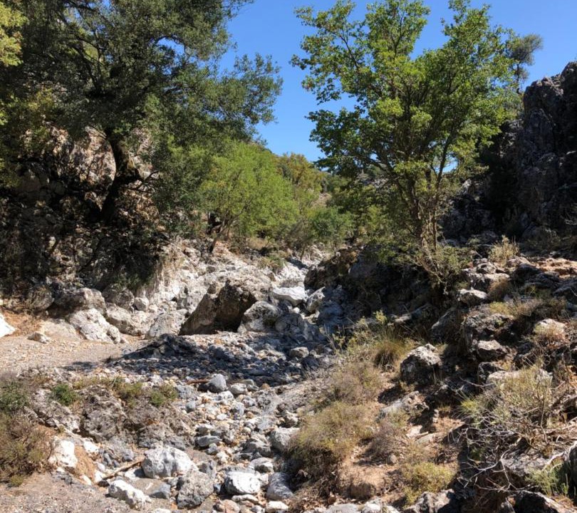 Photo of Outdoor in Lefkogeia
