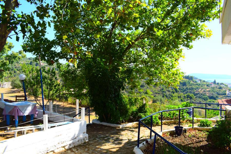 Photo of Others in Alonissos