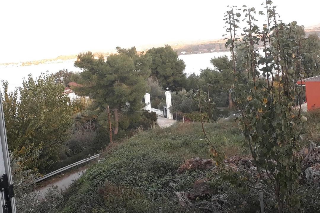 Photo of Others in Imathia Region