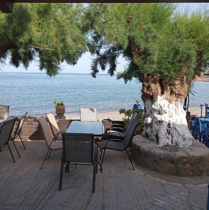 Photo of Others in Sitia