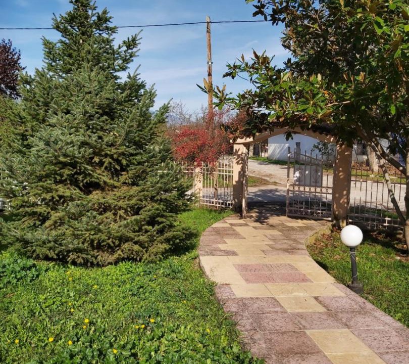 Photo of Outdoor in Fiki
