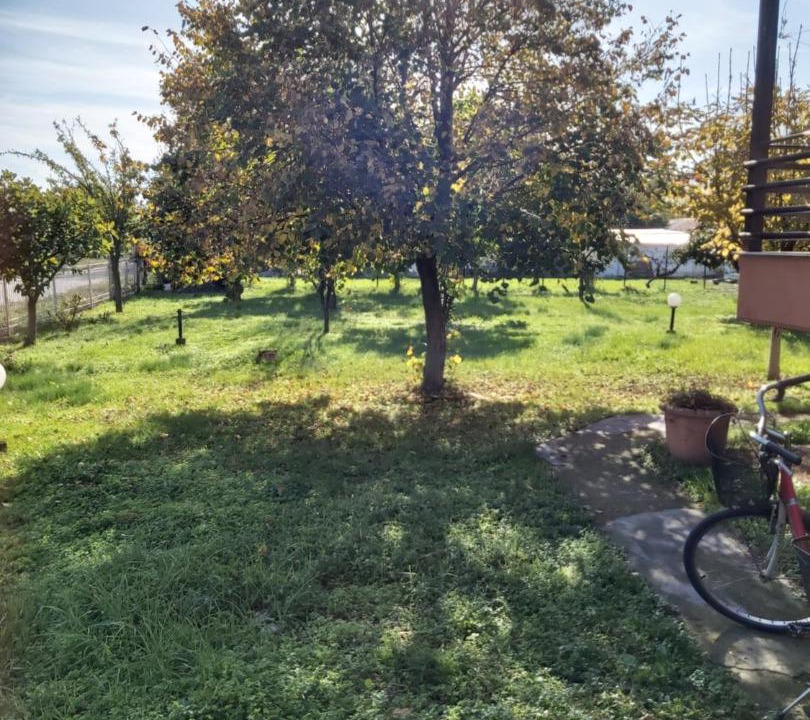 Photo of Outdoor in Fiki