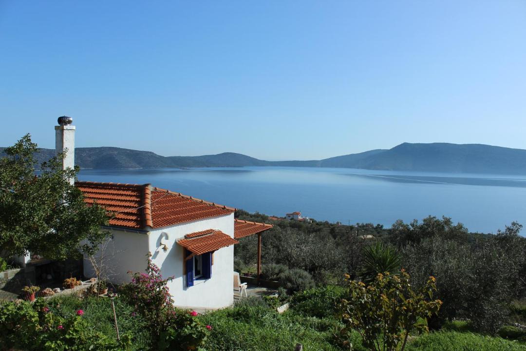 Photo of Others in Nimfea