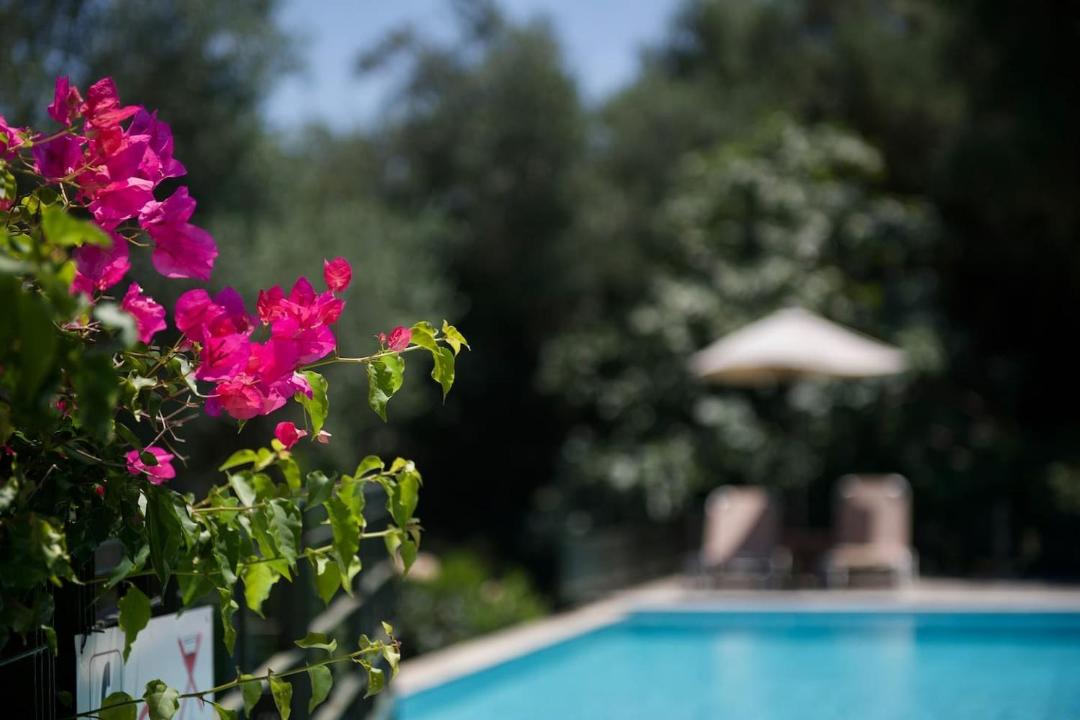 Photo of Outdoor in Kateleios