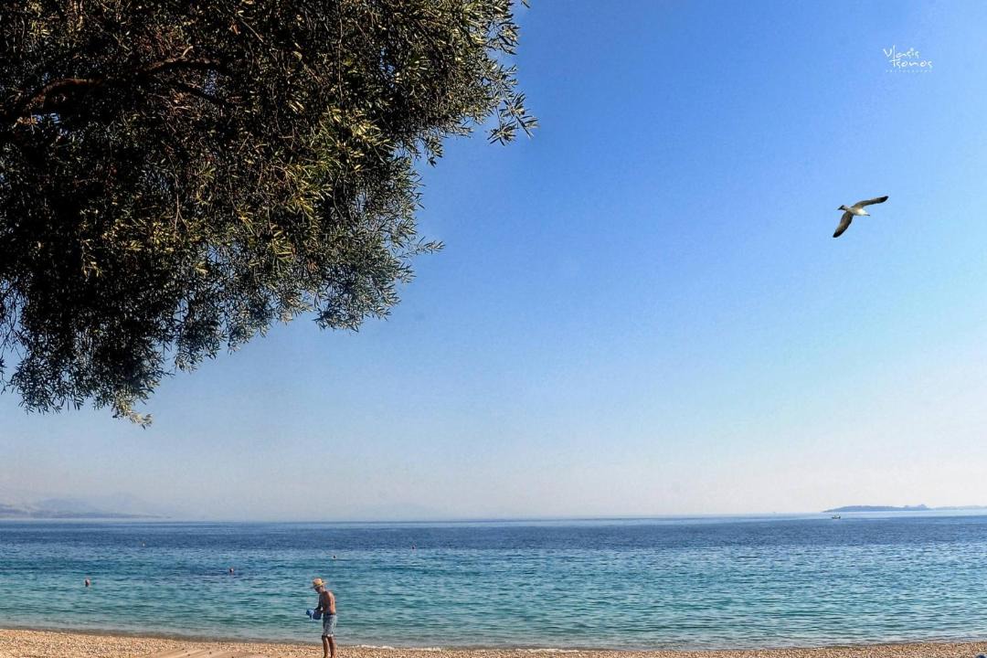 Photo of Outdoor in Barbati