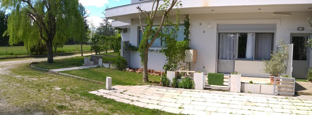 Photo of Others in Ioannina