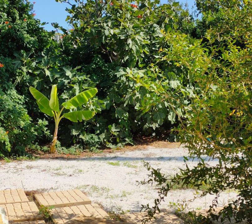 Photo of Outdoor in Legrena