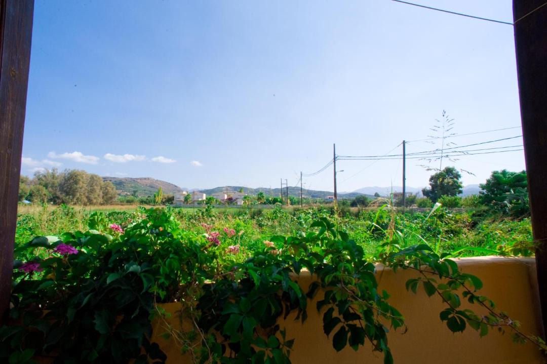 Photo of Others in Nopigia