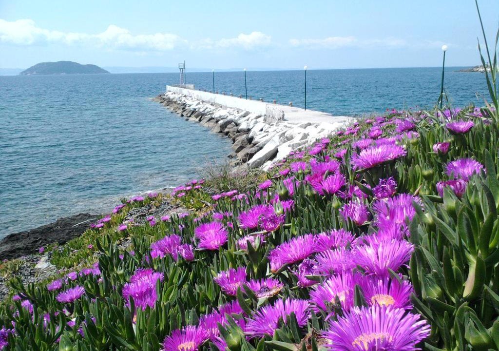 Photo of Outdoor in Neos Marmaras