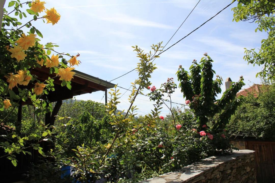 Photo of Others in Kazaviti