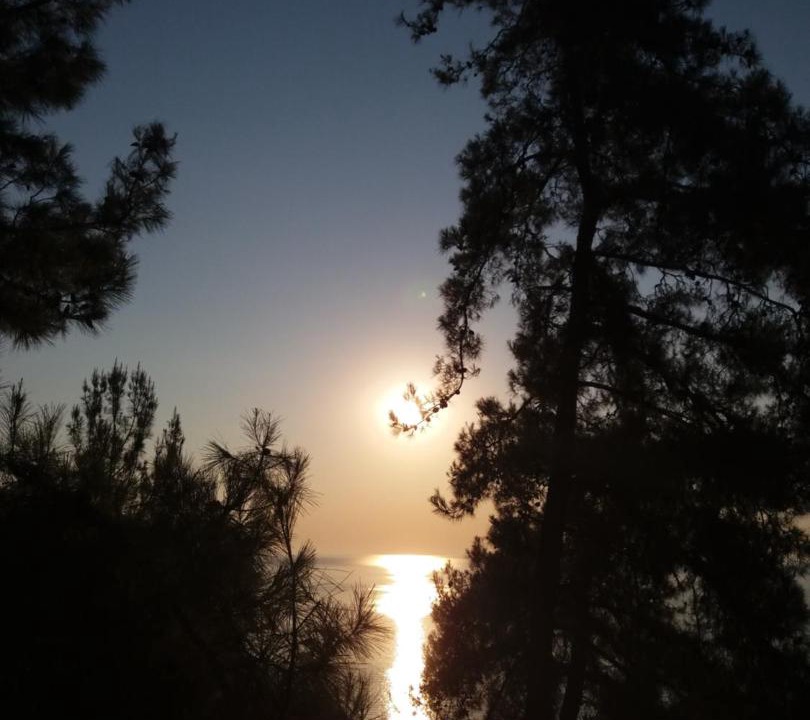 Photo of Others in Thasos