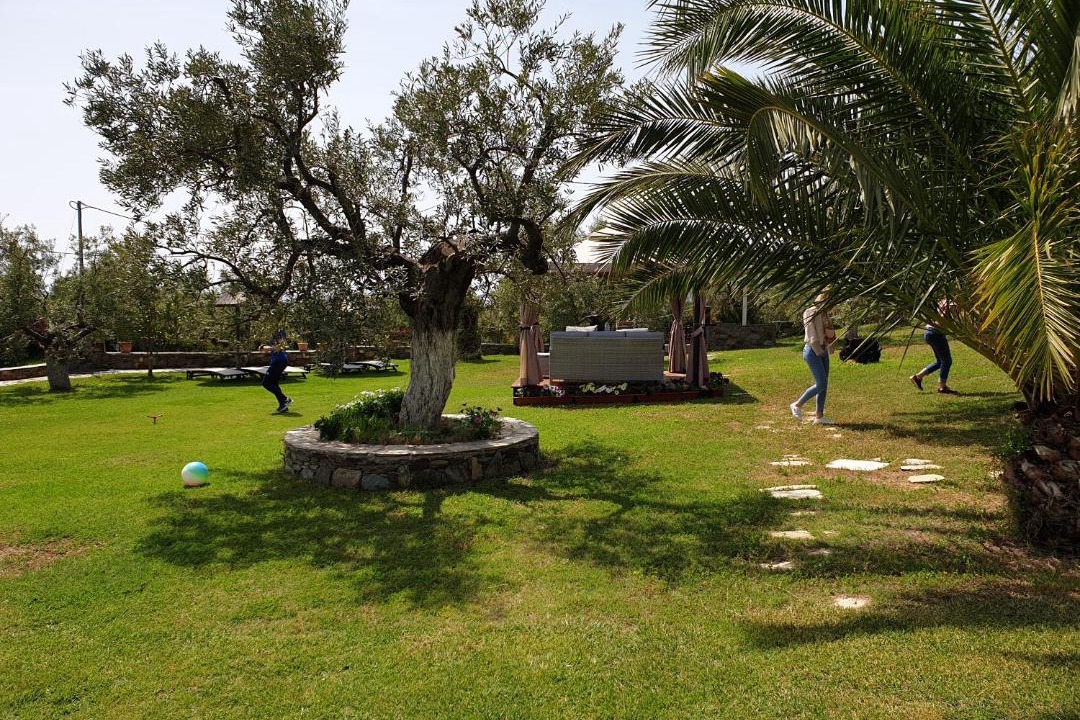 Photo of Others in Sithonia