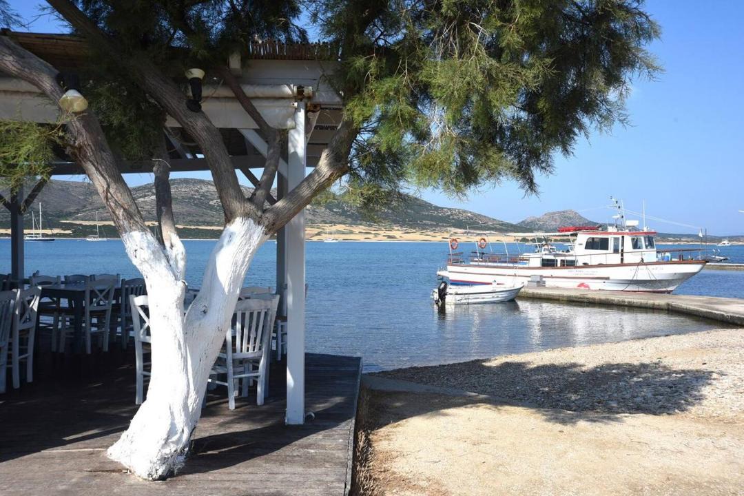 Photo of Others in Antiparos