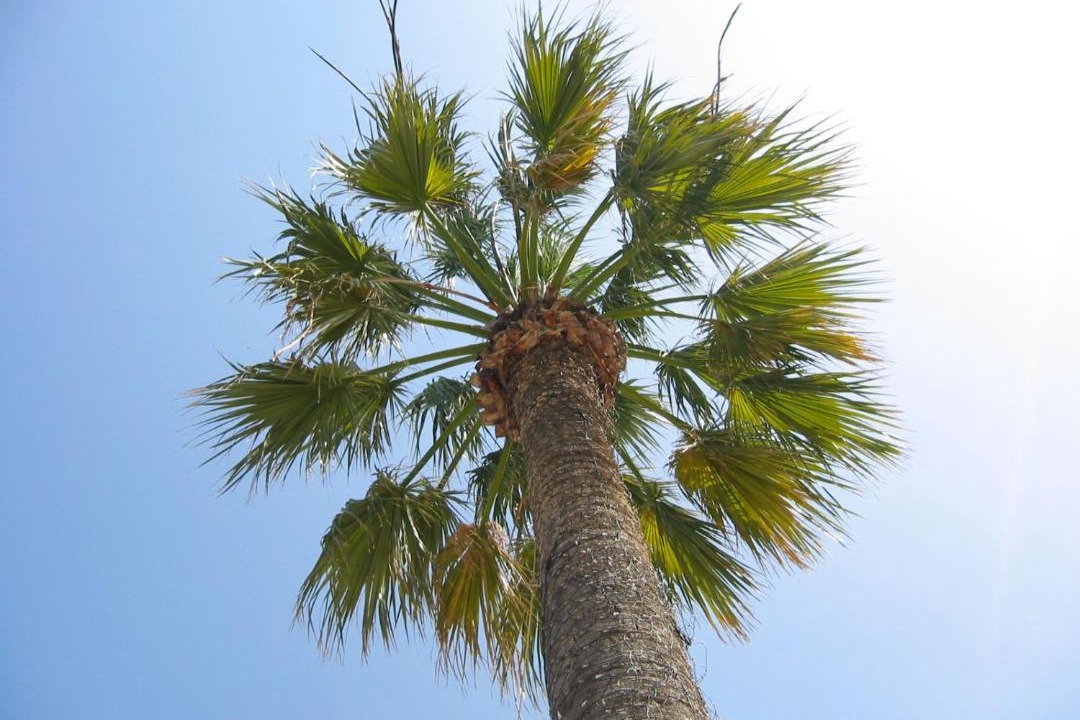 Photo of Outdoor in Heraklion