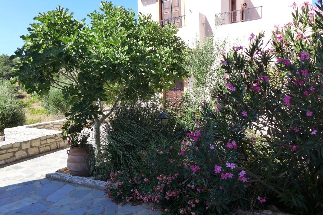 Photo of Others in Mylopotamos