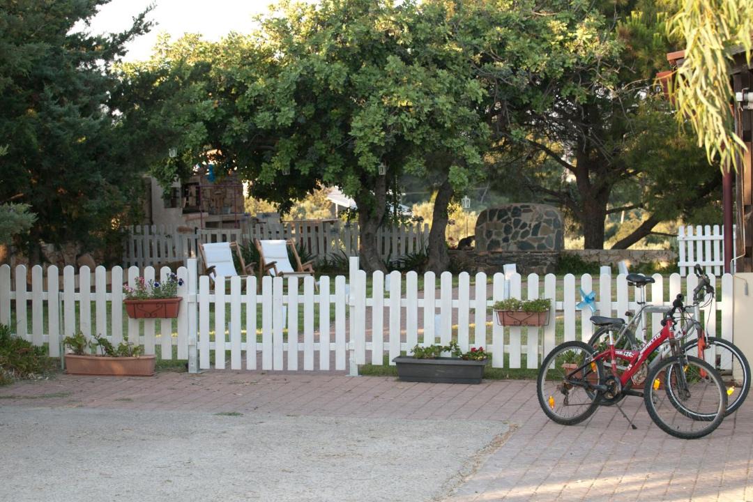 Photo of Others in Pitharion