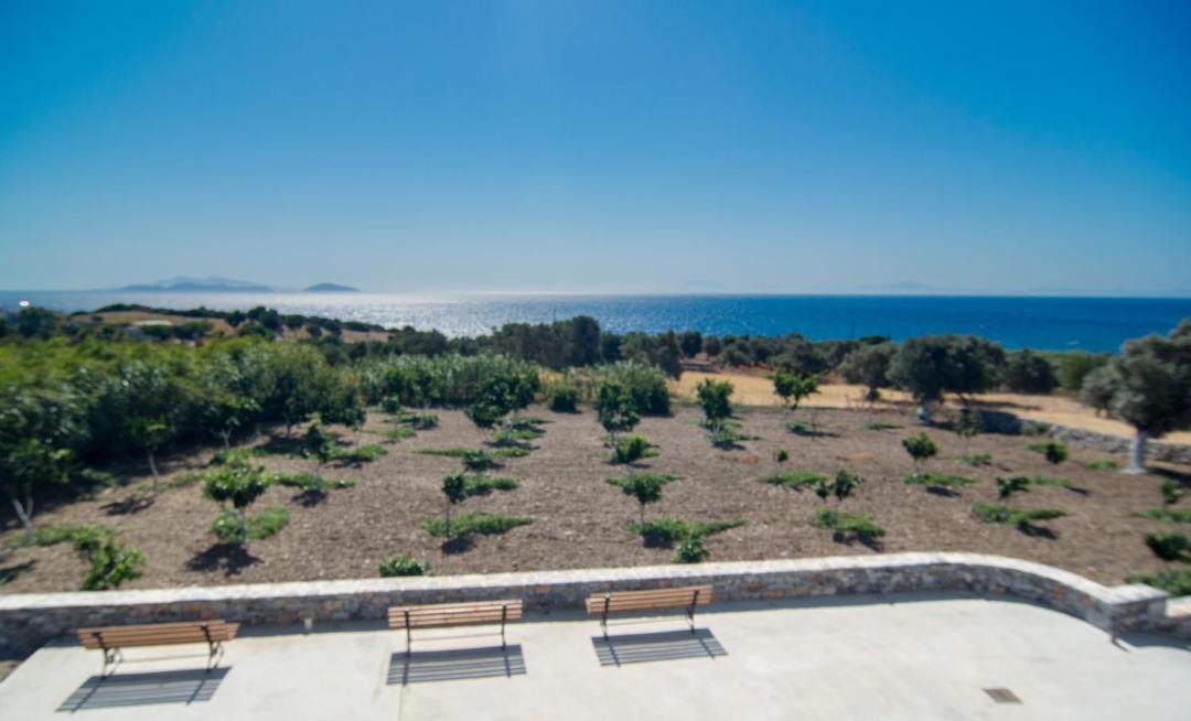Photo of Others in Naxos