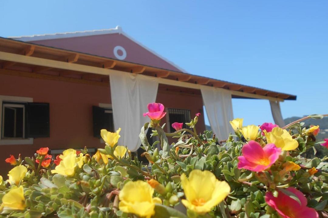 Photo of Others in Dafnata