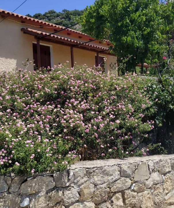 Photo of Others in Leivathos