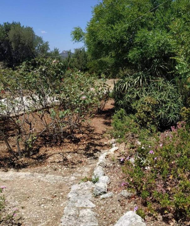 Photo of Others in Leivathos