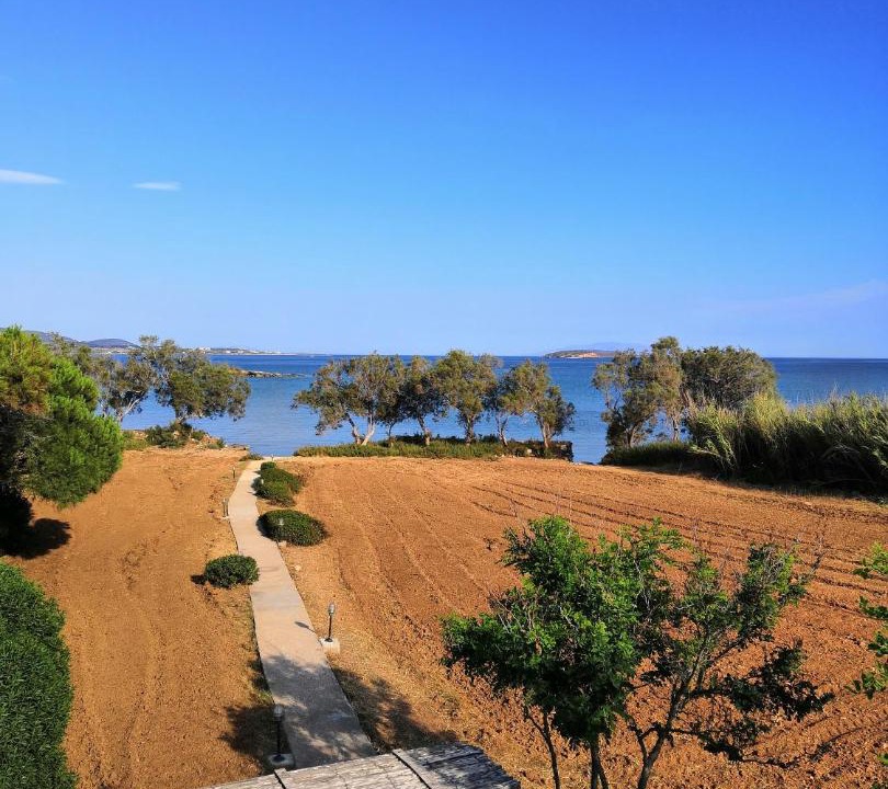 Photo of Outdoor in Antiparos